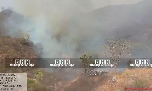 केरुण्डा की नाल व गोरम घाट के जंगलों में आग ने लिया विकराल रूप