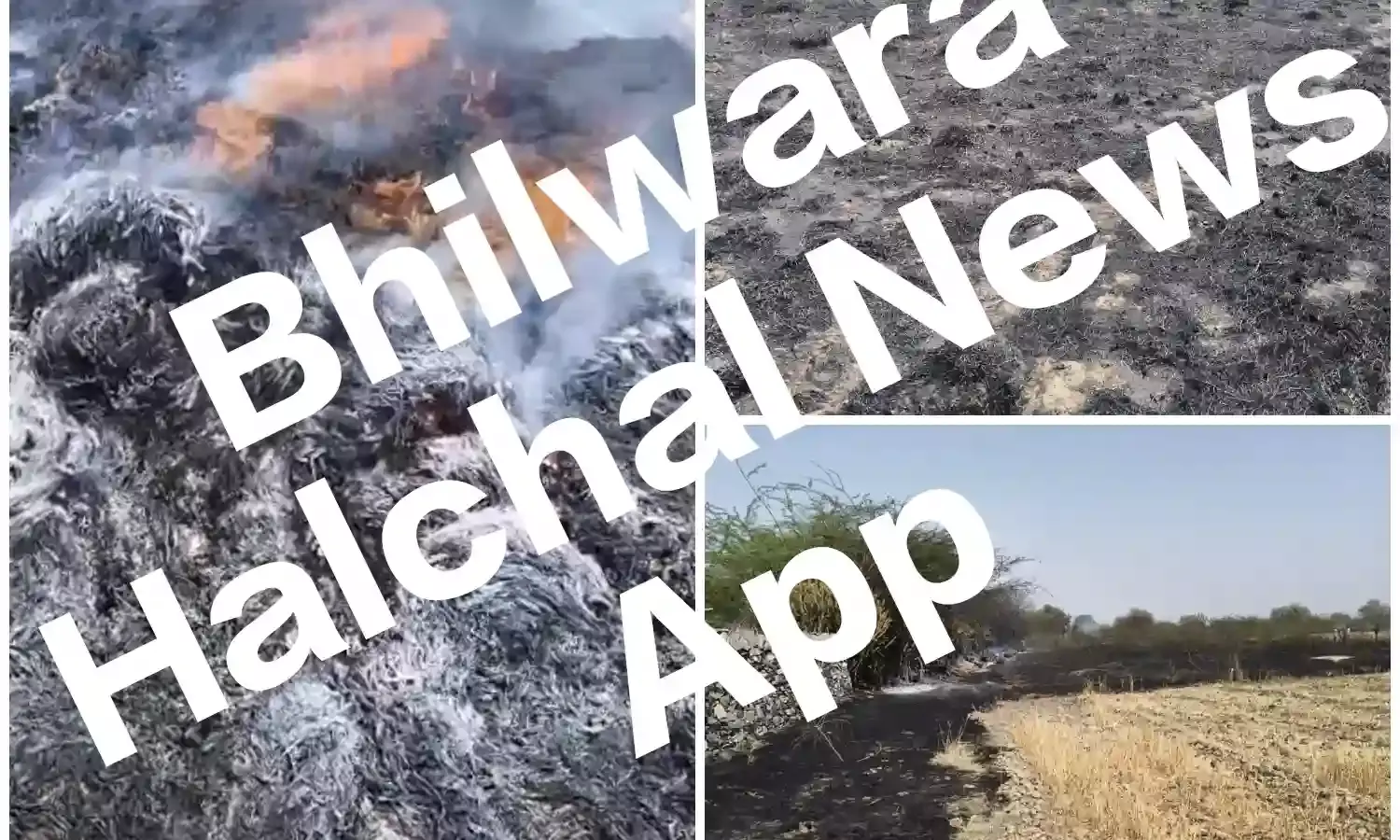 खेत में लगी भीषण आग, गेहूं और जौ की फसल खाक, ग्रामीणों में मची खलबली खेत में लगी भीषण आग, गेहूं और जौ की फसल खाक, ग्रामीणों में मची खलबली