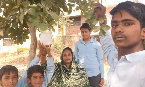 महावीर जयंती की पूर्व संध्या पर मूक पक्षियों हेतु बांधे पानी के परिण्डे