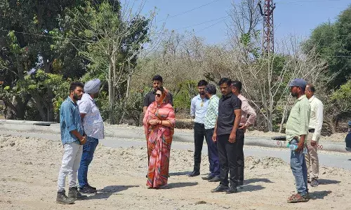भीम, मेड़ता से लेकर ब्यावर तक मैराथन दौरे पर रही सांसद महिमा कुमारी मेवाड़