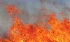 चरागाह भूमि में लगी आग, दो दमकलों ने पाया काबू