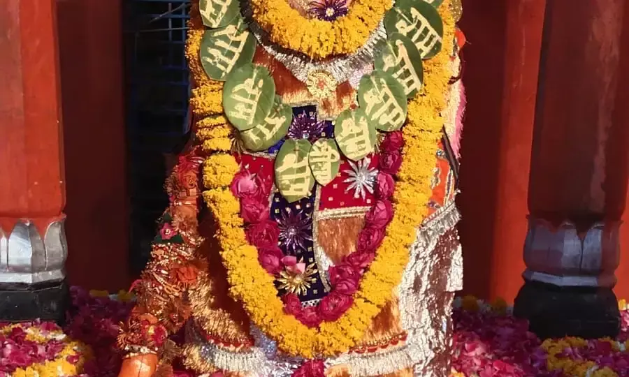 बावड़ी के बालाजी मंदिर में हनुमान जन्मोत्सव धूमधाम से मनाया शनिवार को बावड़ी के बालाजी मंदिर में हनुमान जन्मोत्सव धूमधाम से मनाया शनिवार को