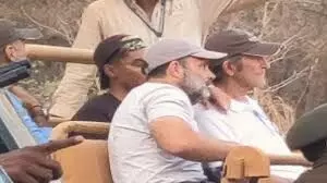विदेशी मेहमानों के साथ टाइगर सफारी पर रणथंभौर पहुंचे राहुल विदेशी मेहमानों के साथ टाइगर सफारी पर रणथंभौर पहुंचे राहुल