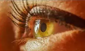 गर्मियों में बढ़ जाता है हीटवेव से आई स्ट्रोक का खतरा गर्मियों में बढ़ जाता है हीटवेव से आई स्ट्रोक का खतरा