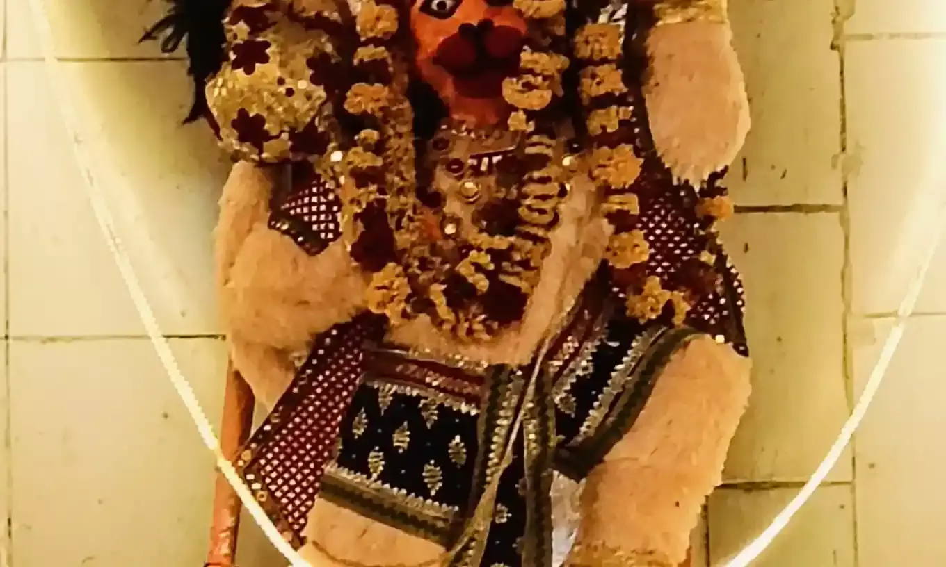 पीथास में धूमधाम से मनाया हनुमान जन्मोत्सव