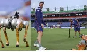 मैदान में हरकत देख हैरान रह गए खिलाड़ी मैदान में हरकत देख हैरान रह गए खिलाड़ी