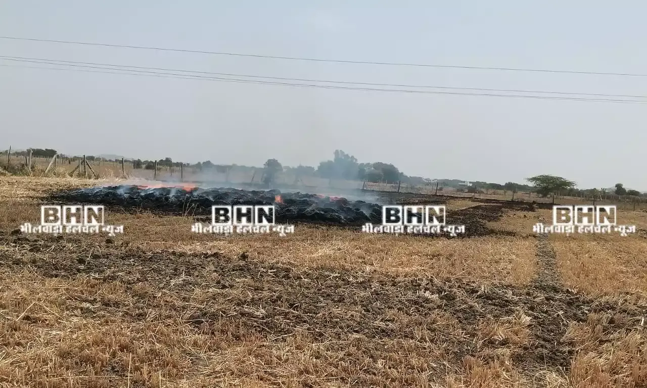 बिजली लाइनों की लापरवाही बनी किसानों की बर्बादी का कारण, फसलें जलकर हो रहीं खाक बिजली लाइनों की लापरवाही बनी किसानों की बर्बादी का कारण, फसलें जलकर हो रहीं खाक