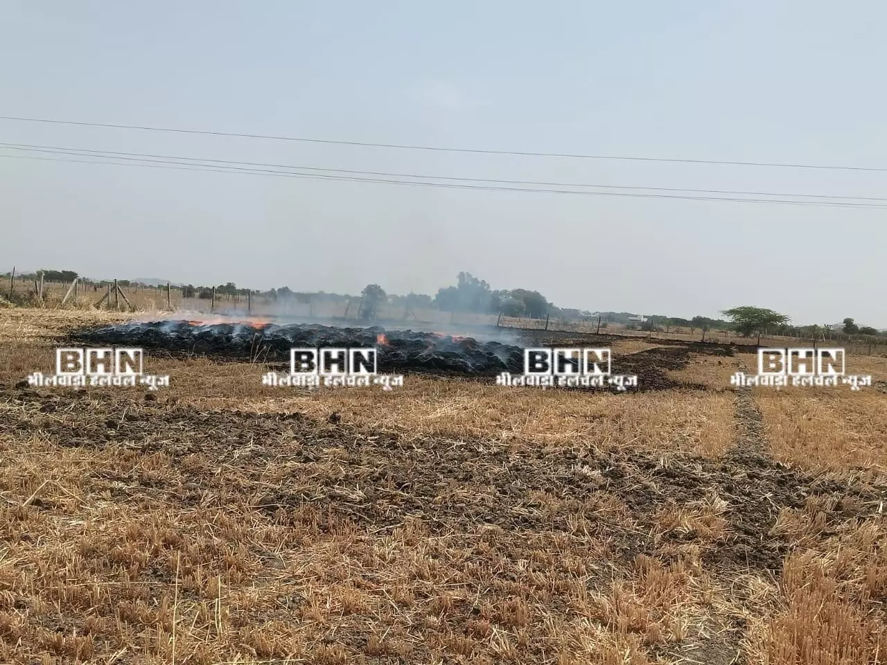बिजली लाइनों की लापरवाही बनी किसानों की बर्बादी का कारण, फसलें जलकर हो रहीं खाक बिजली लाइनों की लापरवाही बनी किसानों की बर्बादी का कारण, फसलें जलकर हो रहीं खाक