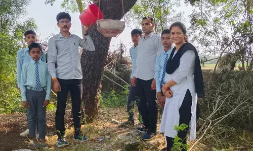 पक्षियों के लिए परिंडे बांधे