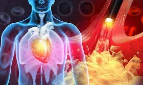 मिनटों में चल जाएगा पता ,आपको हार्ट अटैक-स्ट्रोक का खतरा तो नहीं मिनटों में चल जाएगा पता ,आपको हार्ट अटैक-स्ट्रोक का खतरा तो नहीं