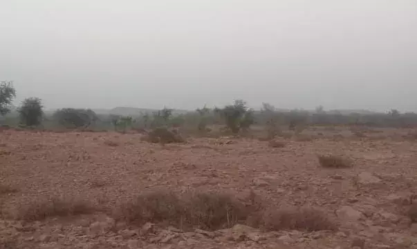 लाडपुरा गांव में भैरू खेड़ा इलाके में आया पैंथर लाडपुरा गांव में भैरू खेड़ा इलाके में आया पैंथर