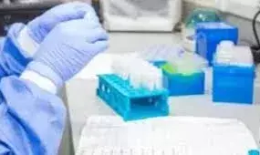 नाइजीरिया में मरने वालों की संख्या बढ़कर 127 हुई नाइजीरिया में मरने वालों की संख्या बढ़कर 127 हुई