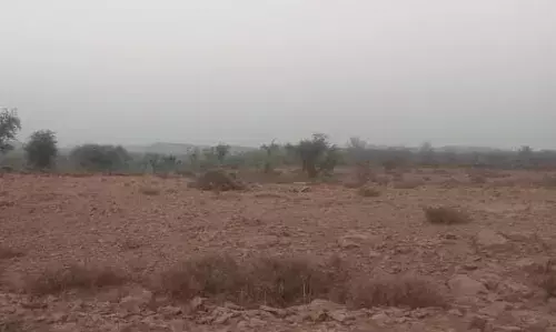 लाडपुरा गांव में भैरू खेड़ा इलाके में आया पैंथर