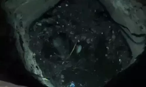 कुएं में गिरा बेल गौभक्तों की चार घंटे की मशक्कत के बाद भी नही बचा
