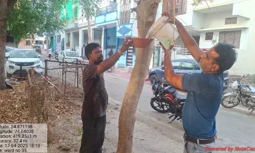 प्रचंड गर्मी में पशु-पक्षियों और आमजन के लिए नगर परिषद की संवेदनशील पहल प्रचंड गर्मी में पशु-पक्षियों और आमजन के लिए नगर परिषद की संवेदनशील पहल