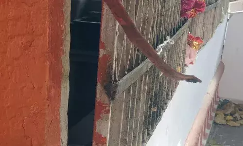 फिर धार्मिक आस्था के मंदिरों के टूटे ताले,अज्ञात चोरों ने जमकर की पत्थर बाजी फिर धार्मिक आस्था के मंदिरों के टूटे ताले,अज्ञात चोरों ने जमकर की पत्थर बाजी