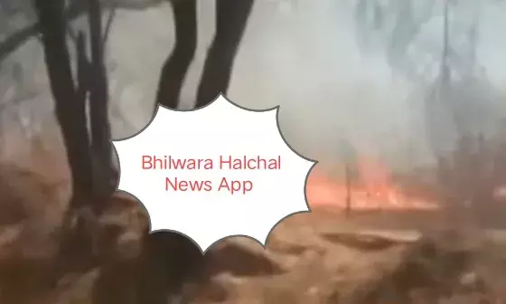 ईको पार्क में लगी भीषण आग, मचा हडक़ंप ईको पार्क में लगी भीषण आग, मचा हडक़ंप