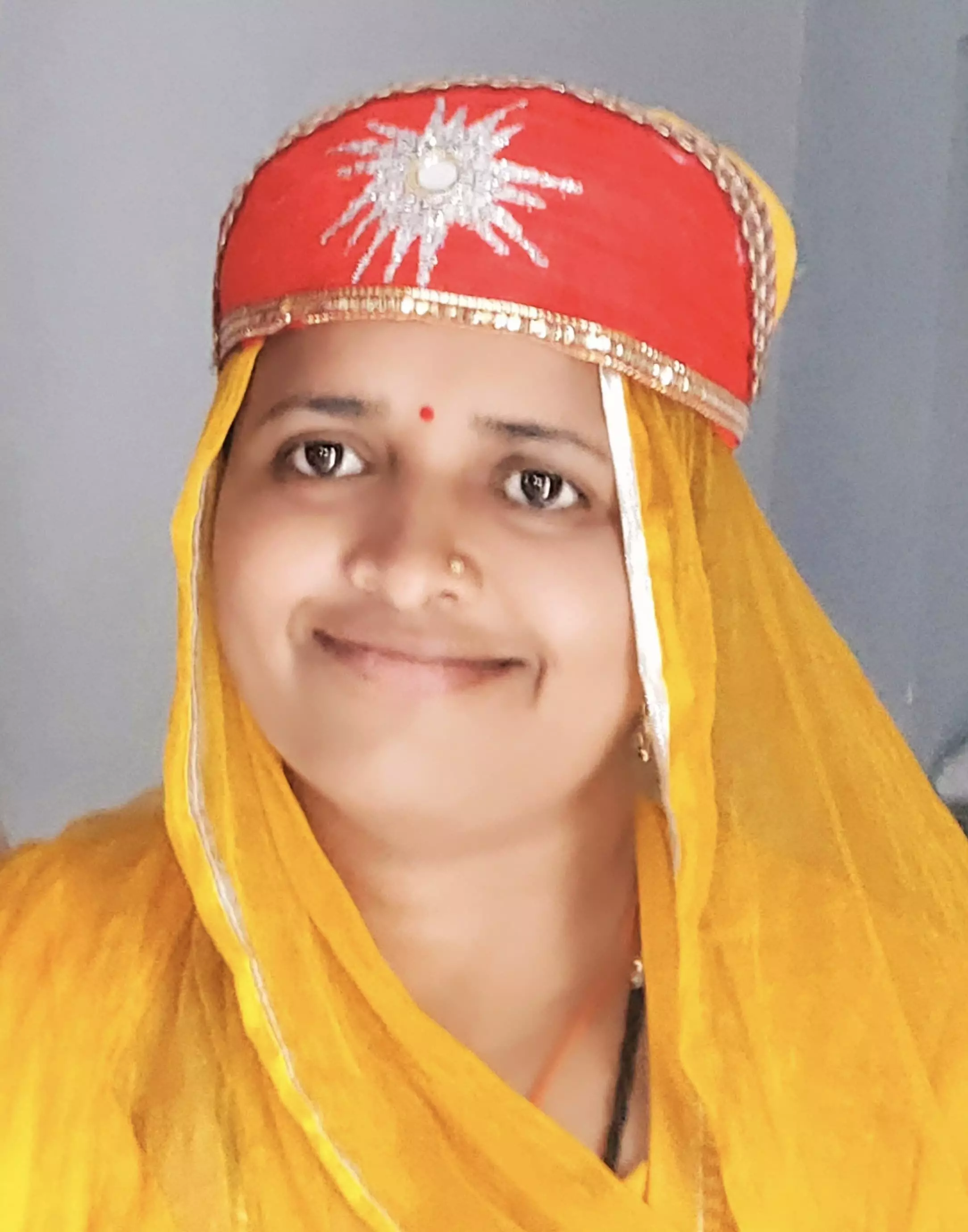 देशभर के 150 सरपंचों में मण्डावर सरपंच का चयन देशभर के 150 सरपंचों में मण्डावर सरपंच का चयन