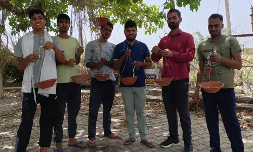 पक्षियों के लिए 101 मिट्टी के परिंडे लगाए