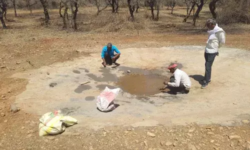 इको पार्क में ट्यूबवेल लगाने की मांग