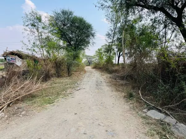 सुथारिया खेड़ा से अमरपुरा मार्ग पर सड़क निर्माण की मांग