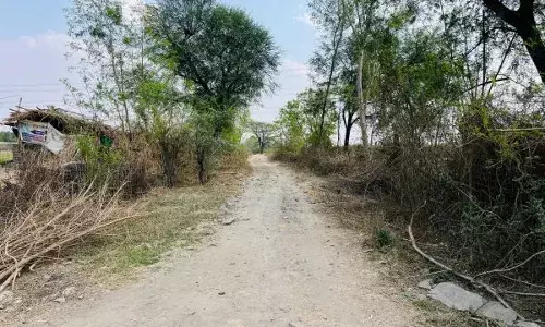 सुथारिया खेड़ा से अमरपुरा मार्ग पर सड़क निर्माण की मांग सुथारिया खेड़ा से अमरपुरा मार्ग पर सड़क निर्माण की मांग