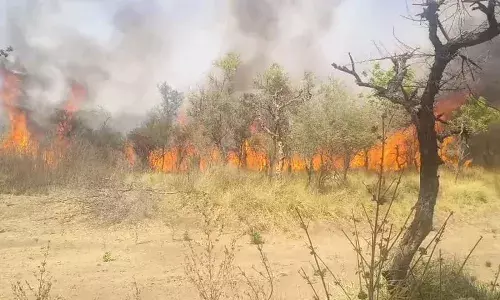शाहपुरा के बीड़ में लगी भीषण आग, हजारों पेड़-पौधे जलकर राख, दो वनकर्मी बाल-बाल बचे शाहपुरा के बीड़ में लगी भीषण आग, हजारों पेड़-पौधे जलकर राख, दो वनकर्मी बाल-बाल बचे