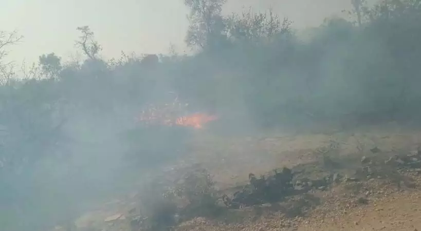 बलिया खेड़ा में दो दिन से लग रही आग बलिया खेड़ा में दो दिन से लग रही आग