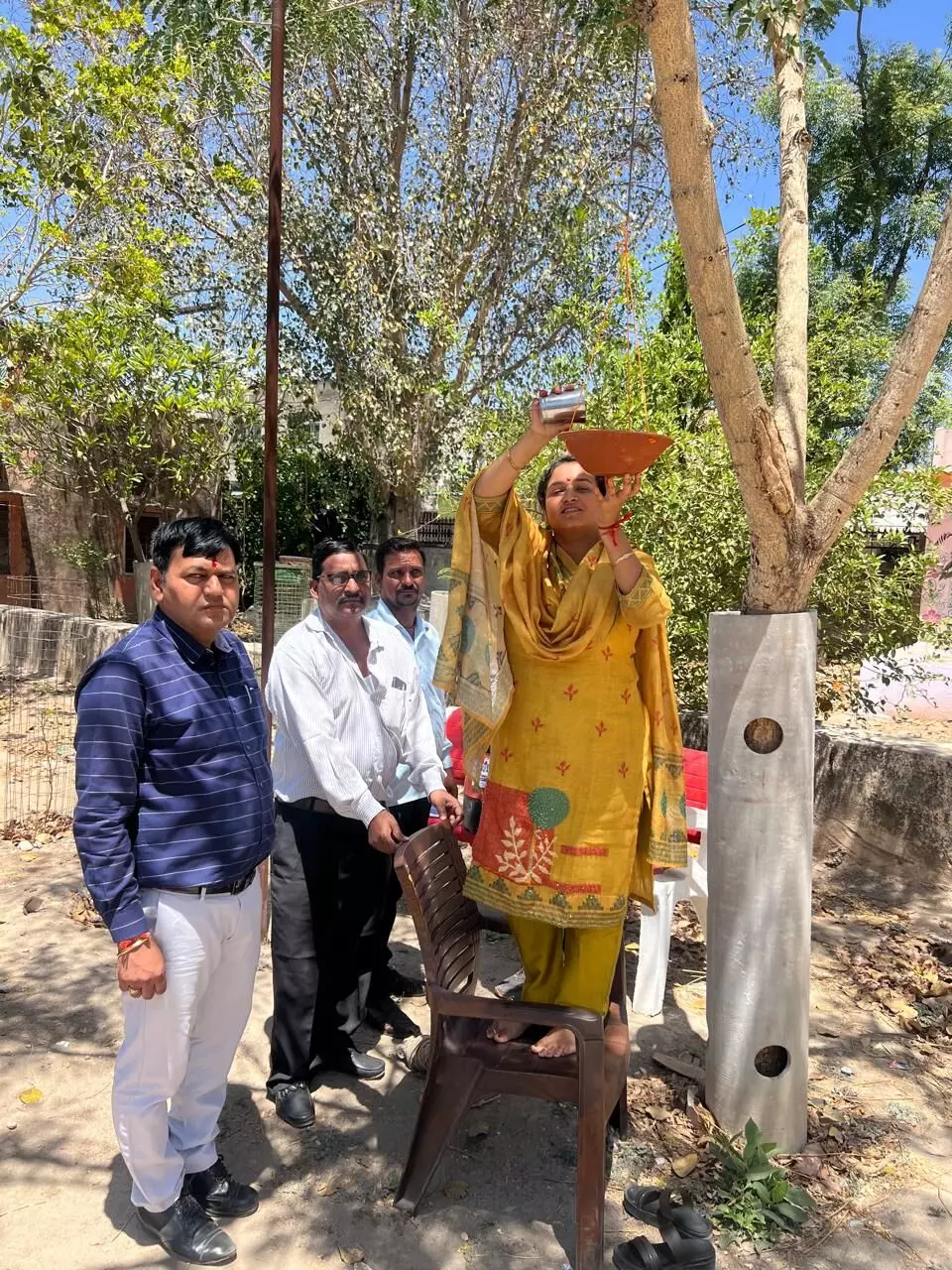 हमीरगढ़ उपखंड कार्यालय परिसर में 11 परिंडे बांधे हमीरगढ़ उपखंड कार्यालय परिसर में 11 परिंडे बांधे