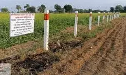 कृषि विभाग ने तारबंदी योजना के लिए जारी किए नये दिशा-निर्देश, राज्य सरकार ने कृषक हित में लिया फैसला कृषि विभाग ने तारबंदी योजना के लिए जारी किए नये दिशा-निर्देश, राज्य सरकार ने कृषक हित में लिया फैसला
