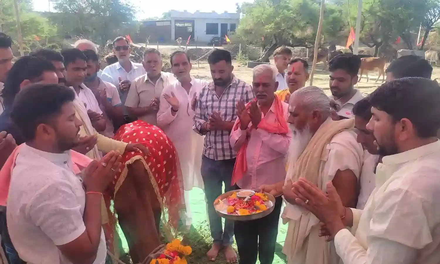 चावंडिया में श्री चामुण्डा गौशाला का हुआ शुभारंभ चावंडिया में श्री चामुण्डा गौशाला का हुआ शुभारंभ