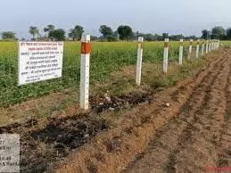 कृषि विभाग ने तारबंदी योजना के लिए जारी किए नये दिशा-निर्देश, राज्य सरकार ने कृषक हित में लिया फैसला कृषि विभाग ने तारबंदी योजना के लिए जारी किए नये दिशा-निर्देश, राज्य सरकार ने कृषक हित में लिया फैसला