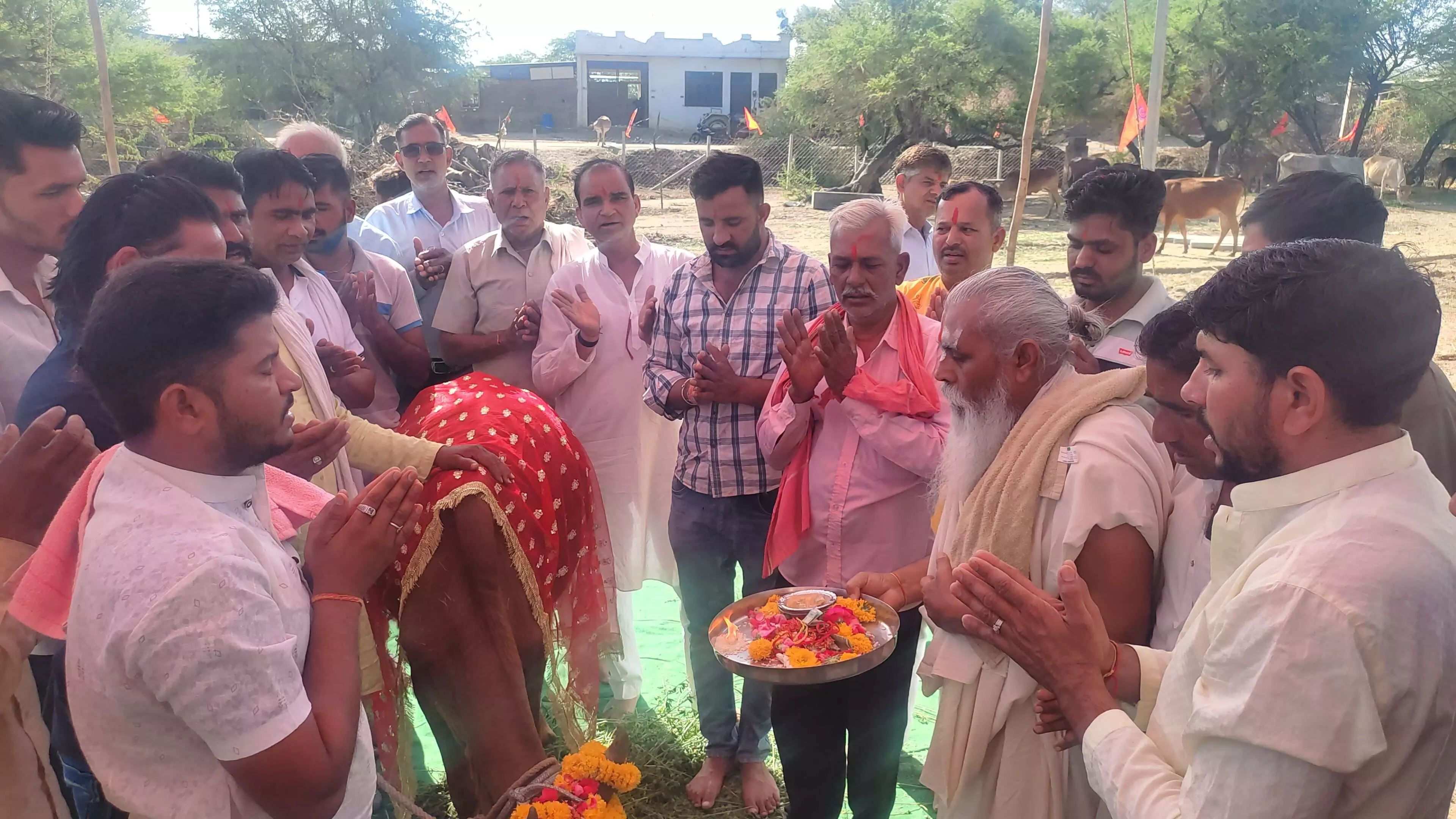 चावंडिया में श्री चामुण्डा गौशाला का हुआ शुभारंभ