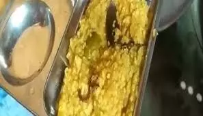मिड डे मील में मिला सांप, 50 से अधिक बच्चे बीमार मिड डे मील में मिला सांप, 50 से अधिक बच्चे बीमार