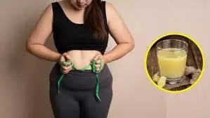हर सुबह खाली पेट इन ड्रिंक्स का सेवन मोटापे से आपको दिलाएगा छुटकारा हर सुबह खाली पेट इन ड्रिंक्स का सेवन मोटापे से आपको दिलाएगा छुटकारा