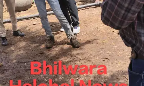 खेत पर भीषण आग, पांच पशु जिंदा जले, खाखला हुआ खाक