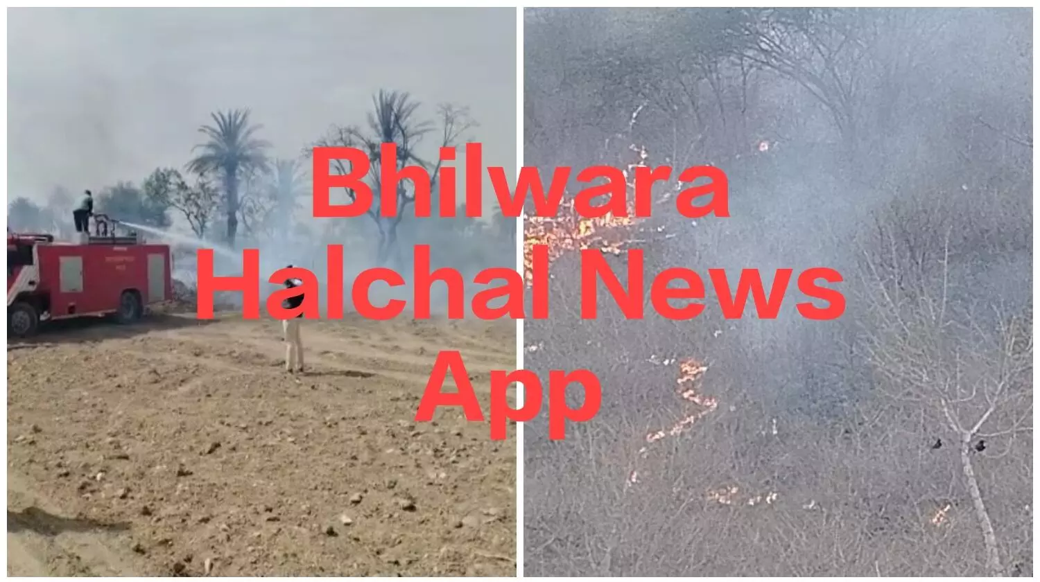 सूरजपुरा में आग से मची अफरा-तफरी