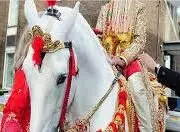 विवाद के बाद पुलिस सुरक्षा में निकली युवक की बिंदौली, दुल्हे के पिता ने दबंगों पर लगाया मारपीट का आरोप, केस दर्ज विवाद के बाद पुलिस सुरक्षा में निकली युवक की बिंदौली, दुल्हे के पिता ने दबंगों पर लगाया मारपीट का आरोप, केस दर्ज