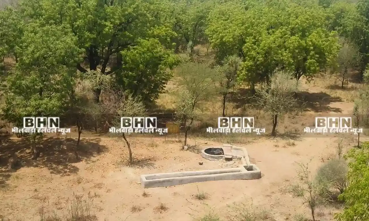 भीषण गर्मी से शाहपुरा में वन्य जीव बेहाल, पानी की भारी किल्लत