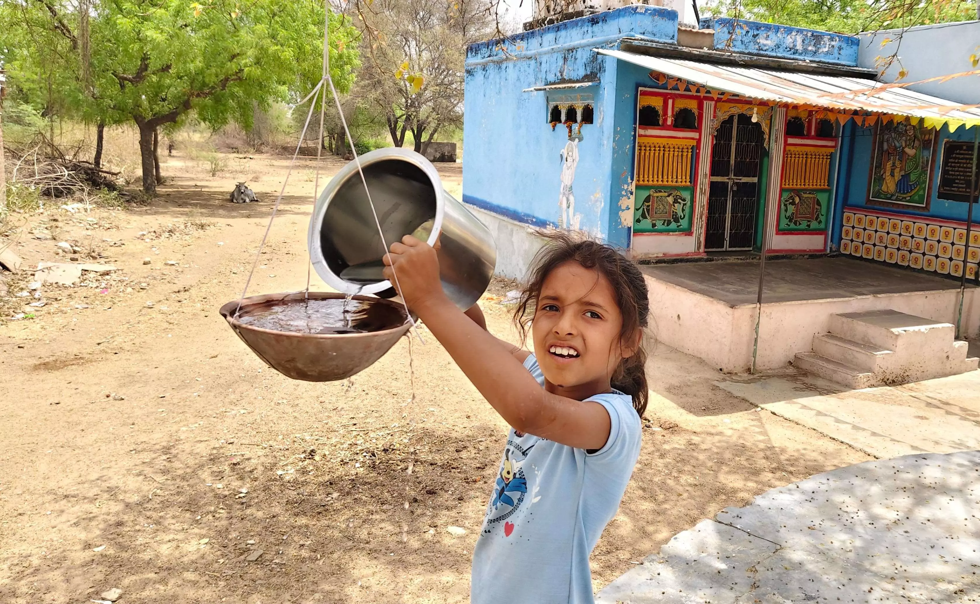 पक्षियों के लिए पानी परिडा व पौधा लगाकर मनाया जन्मदिन