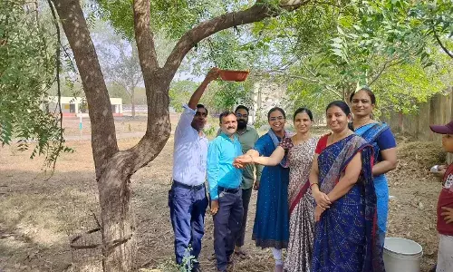 पक्षियों के लिए बांधे परिंडा
