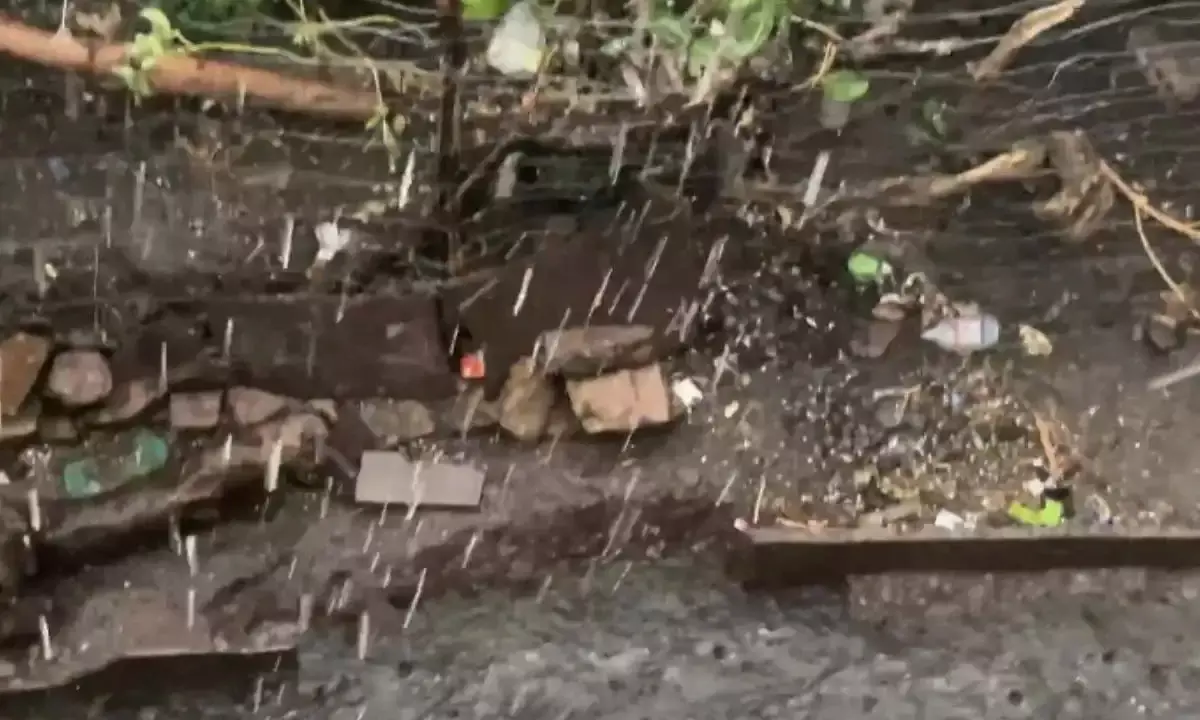 तेज हवाओं के साथ हुई बारिश, गिरे चने के आकार के ओले तेज हवाओं के साथ हुई बारिश, गिरे चने के आकार के ओले