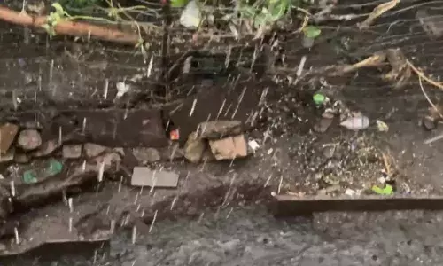 तेज हवाओं के साथ हुई बारिश, गिरे चने के आकार के ओले