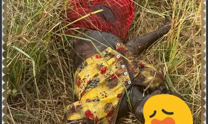 चार दिन पुरानी लाश मिलने से इलाके में सनसनी, शव की नहीं हो सकी पहचान चार दिन पुरानी लाश मिलने से इलाके में सनसनी, शव की नहीं हो सकी पहचान