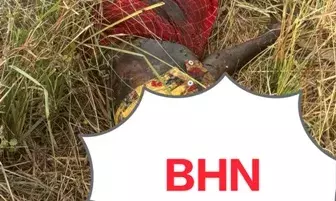 खाली भूखंड में मिली महिला की लाश, पुलिस कर रही है पहचान के प्रयास खाली भूखंड में मिली महिला की लाश, पुलिस कर रही है पहचान के प्रयास