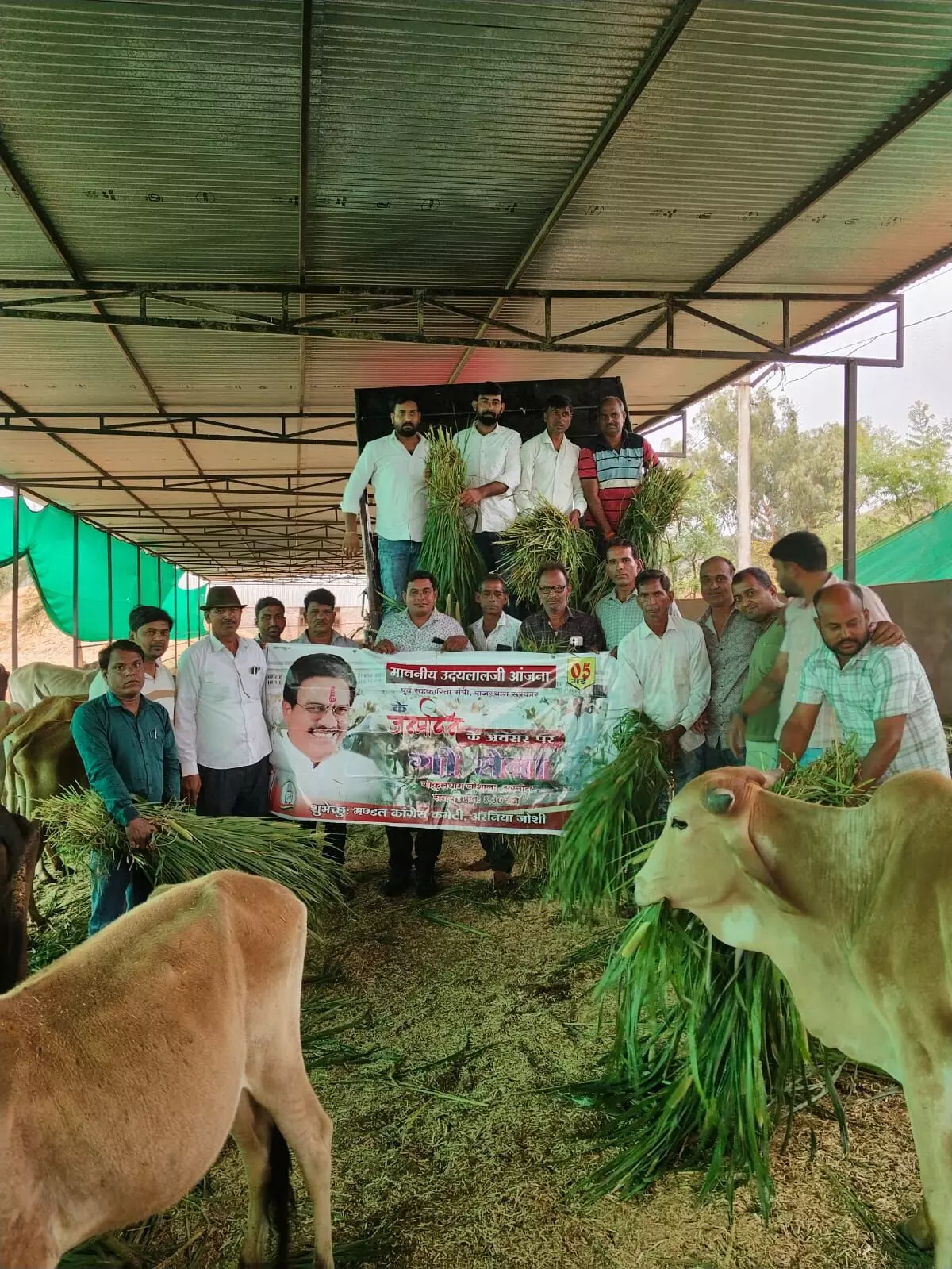 गौ माता को खिलाया हरा चारा