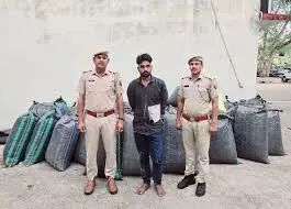 साढ़े सात क्विंटल डोडा चूरा की बड़ी खेप पकड़ी साढ़े सात क्विंटल डोडा चूरा की बड़ी खेप पकड़ी