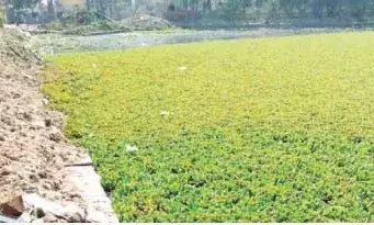 मानसरोवर झील पर लगेगा 10 करोड़ का सीवरेज ट्रीटमेंट प्लांट