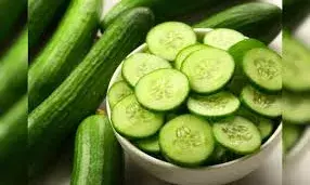 खीरा छीलकर खाएं या बिना छीले, जानें एक्सपर्ट की राय