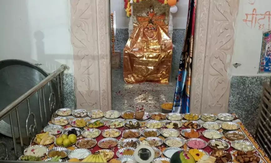 ठाकुर जी को छप्पन भोग लगाया..प्रसाद वितरित किया,झाकियां सजाई